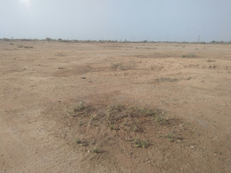  100000 Sq. Meter Industrial Land for Sale in Sanand, Ahmedabad