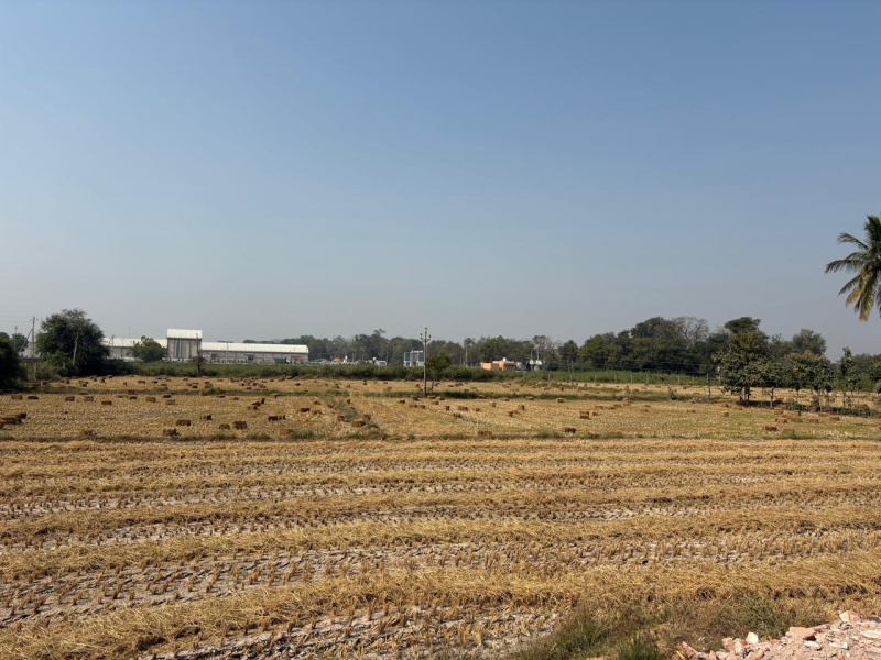  200000 Sq. Meter Industrial Land for Sale in Dahej GIDC, Bharuch
