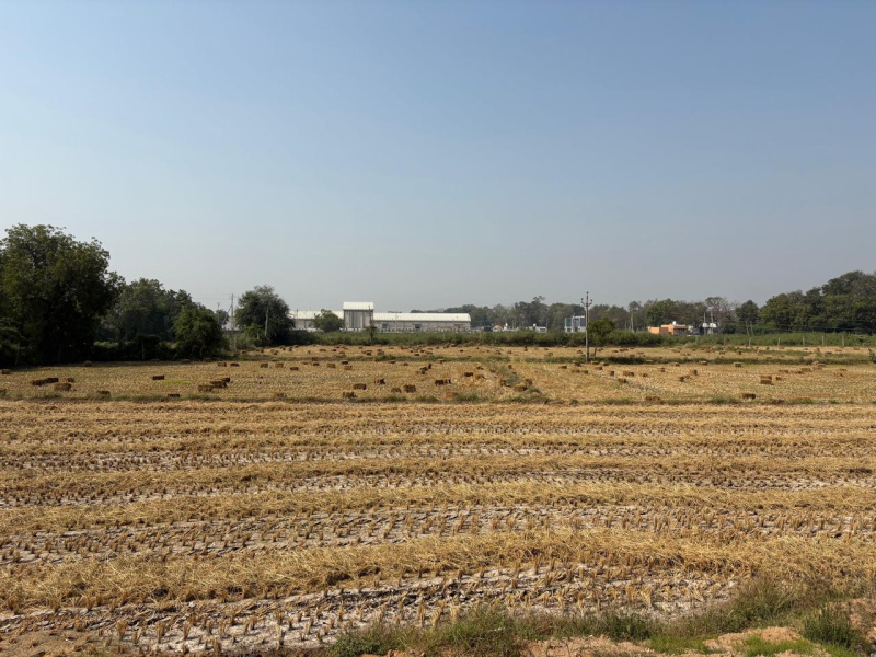  200000 Sq. Meter Industrial Land for Sale in Bavla, Ahmedabad