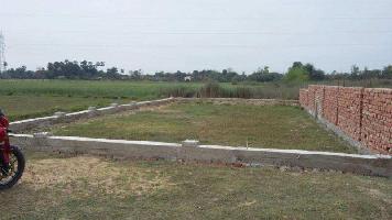  Agricultural Land for Sale in Benipatti, Madhubani