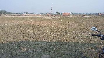  Agricultural Land for Sale in Dumaar, Katihar, Katihar