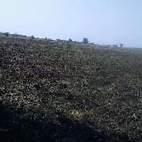  Agricultural Land for Sale in Hadgaon, Nanded