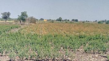  Industrial Land for Sale in Dahej, Bharuch