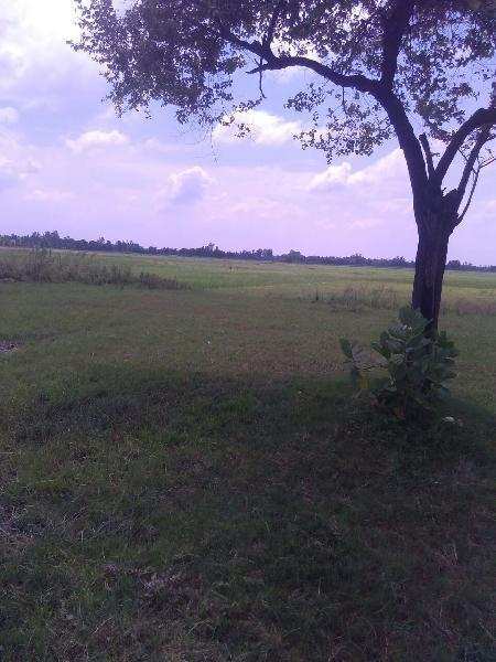  Residential Plot 600 Sq.ft. for Sale in Safedabad Road, Lucknow