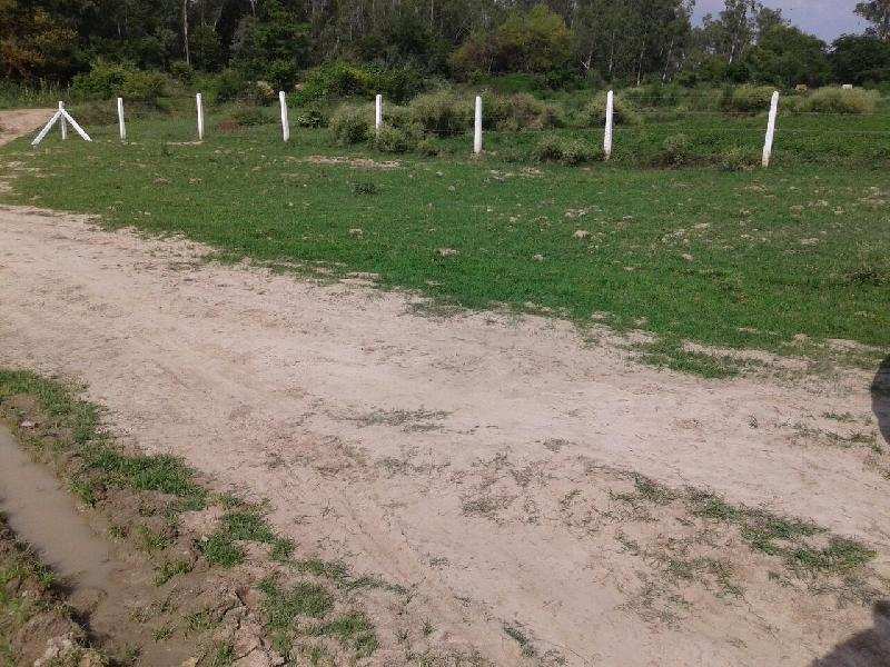  Residential Plot 600 Sq.ft. for Sale in Safedabad Road, Lucknow