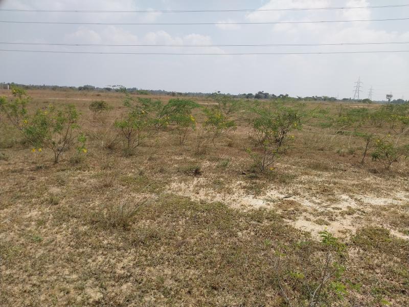  Agricultural Land 174440 Sq.ft. for Sale in Thiruverumbur, Tiruchirappalli