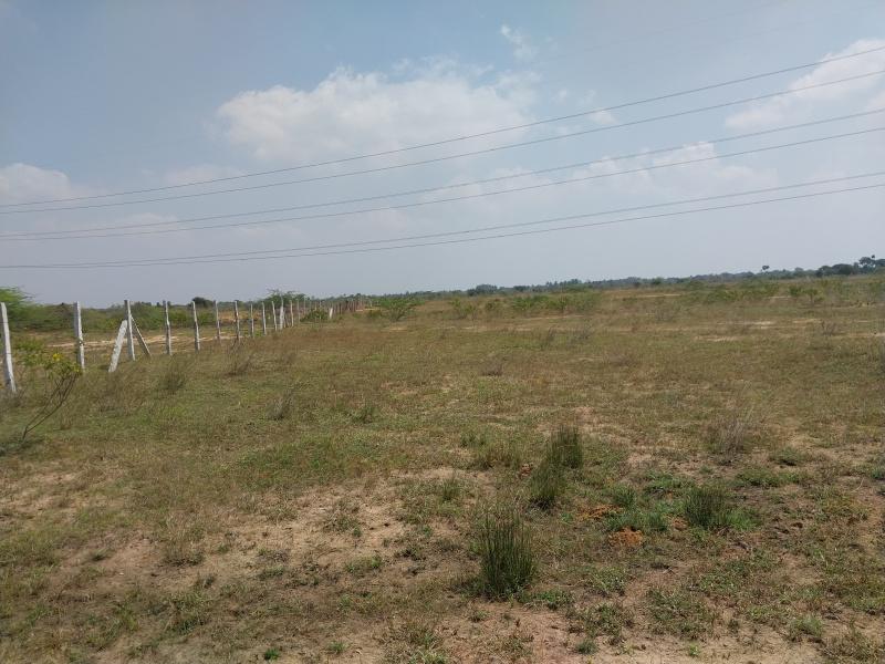  Agricultural Land 174440 Sq.ft. for Sale in Thiruverumbur, Tiruchirappalli