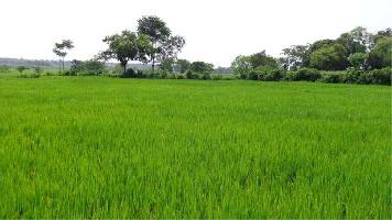  Agricultural Land for Sale in Mundra, Kutch