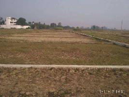  Agricultural Land for Sale in Laxmi Nagar, Jodhpur
