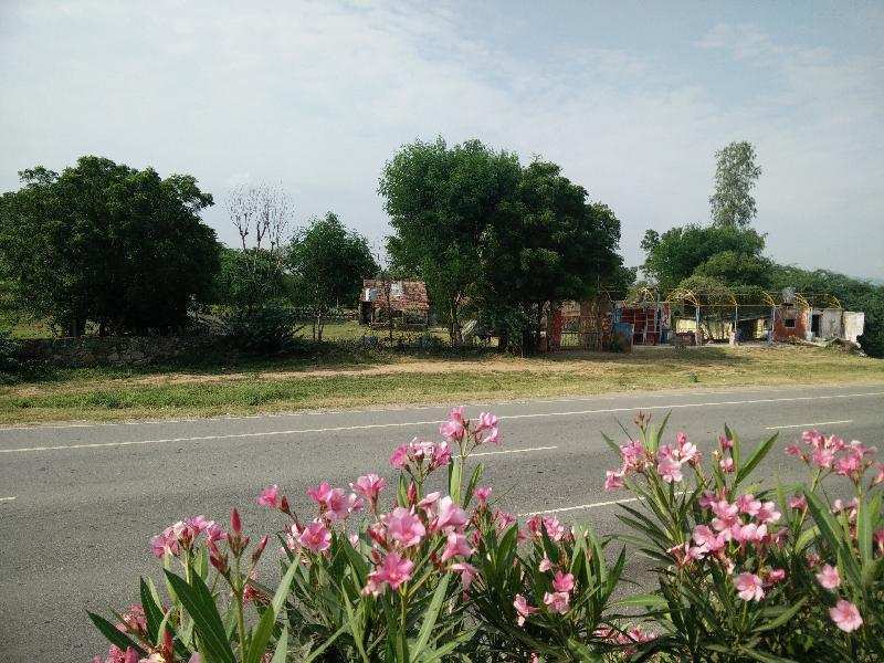 Agricultural Land 3000 Sq. Yards for Sale in NH 8, Ajmer