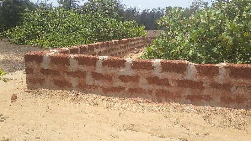  Residential Plot 2000 Sq.ft. for Sale in Sipasarubali, Puri
