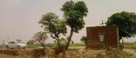  Agricultural Land for Sale in Sanghera, Barnala