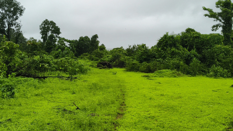  Agricultural Land 30 Acre for Sale in Tala, Raigad