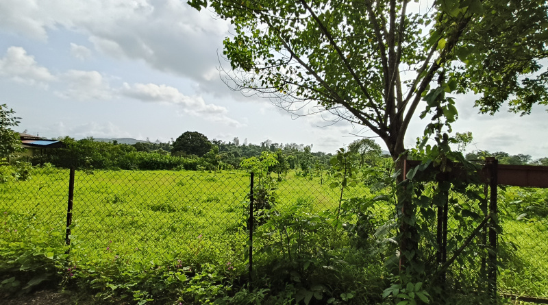  Agricultural Land 20 Guntha for Sale in Mangaon, Raigad