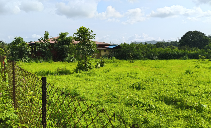  Agricultural Land 20 Guntha for Sale in Mangaon, Raigad