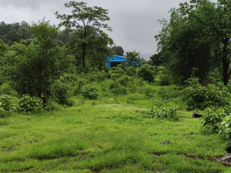  Industrial Land 20000 Sq. Meter for Sale in Vile Bhagad MIDC, Raigad