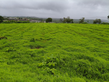  Agricultural Land for Sale in Tala, Raigad