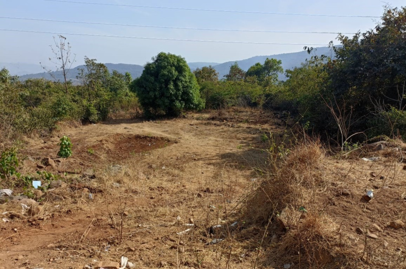  Agricultural Land 2 Acre for Sale in Mangaon, Raigad