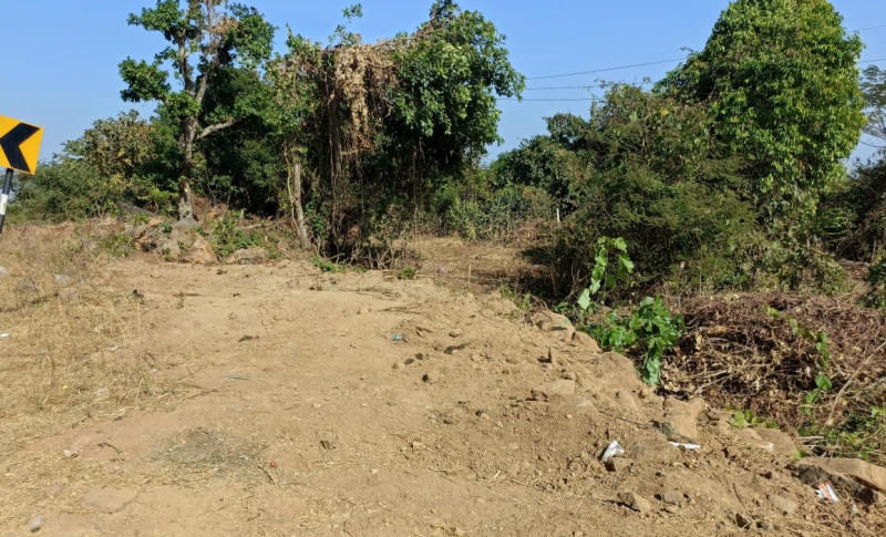  Agricultural Land 2 Acre for Sale in Mangaon, Raigad