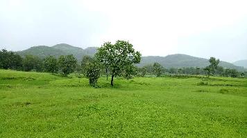  Agricultural Land for Sale in Mangaon, Raigad