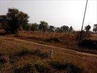  Agricultural Land for Sale in Badwai, Bhopal