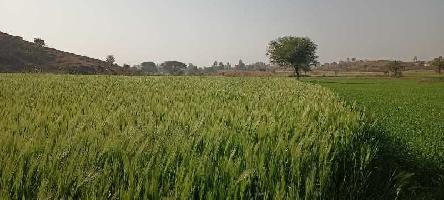  Agricultural Land for Sale in Girwa, Udaipur