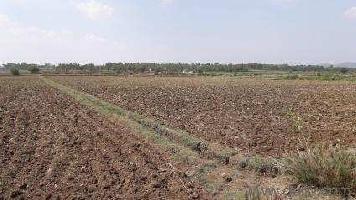  Agricultural Land for Sale in Wadi, Gulbarga