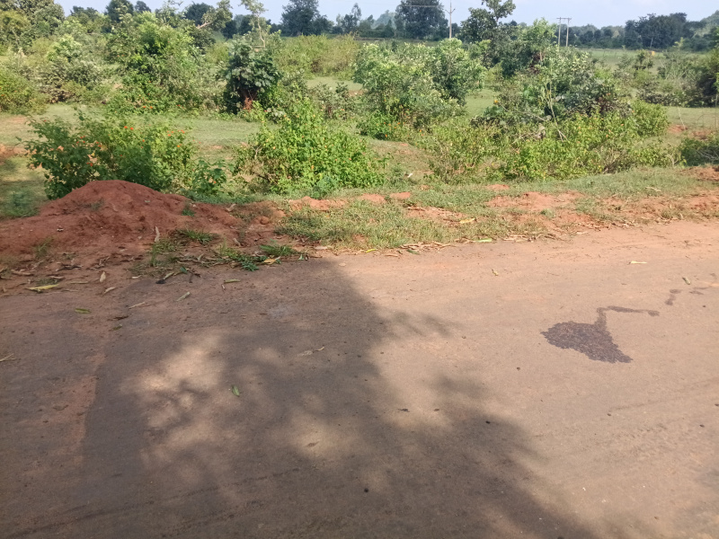  40000 Sq.ft. Residential Plot for Sale in Balpurwa, Shahdol