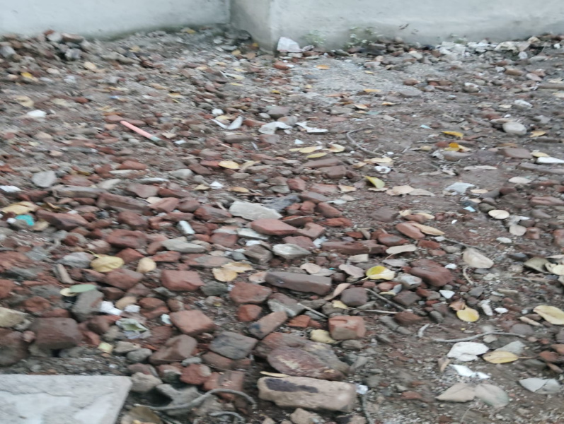  4000 Sq.ft. Residential Plot for Sale in Chandia, Umaria