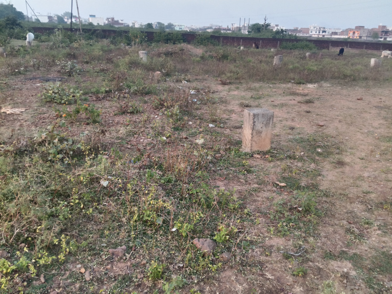  10000 Sq.ft. Residential Plot for Sale in Nai Basti, Katni