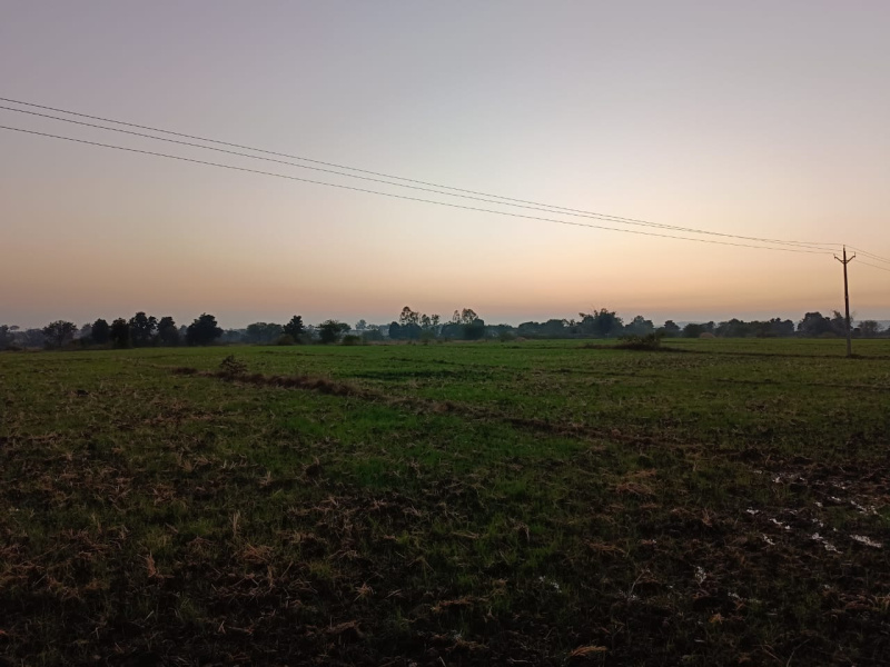 10000 Sq.ft. Commercial Land for Sale in Khalesar, Umaria