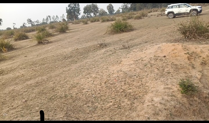  11 Ares Agricultural/Farm Land for Sale in Barhi, Katni