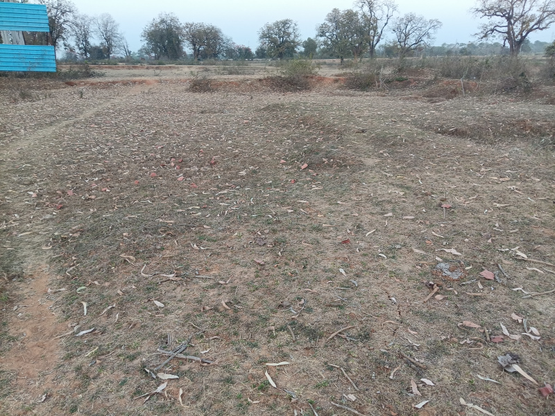  1 Acre Agricultural/Farm Land for Sale in Khalesar, Umaria