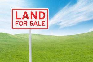  Commercial Land for Sale in Ollukkara, Thrissur