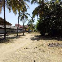  Commercial Land for Sale in Thrissur Kozhikode highway, Thrissur