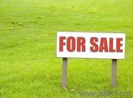  Residential Plot for Sale in Sector 47 Gurgaon
