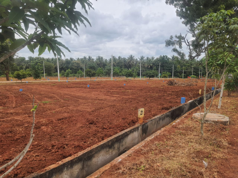  Residential Plot 1500 Sq.ft. for Sale in Kempapura, Bangalore