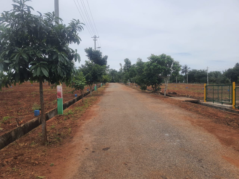  Residential Plot 1500 Sq.ft. for Sale in Kempapura, Bangalore