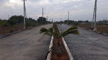  Residential Plot for Sale in Bhogapuram, Visakhapatnam