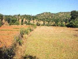  Agricultural Land for Sale in Ajmer Road, Jaipur