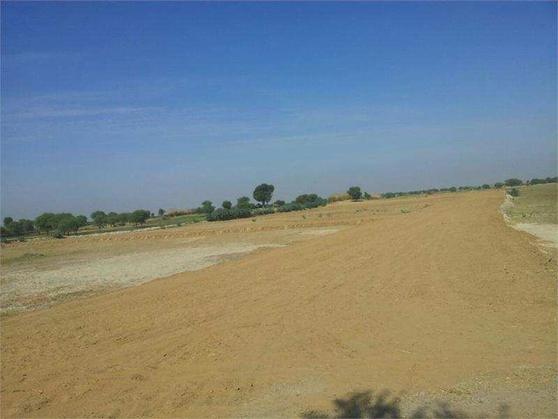 Agricultural Land 3000 Sq. Yards for Sale in