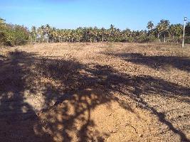  Agricultural Land for Sale in Pallikonda, Vellore