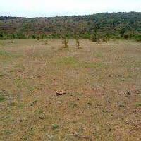  Residential Plot for Sale in Banar Road, Jodhpur