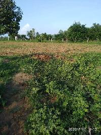  Agricultural Land for Sale in Kapadvanj, Kheda