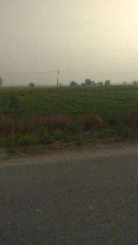  Agricultural Land for Sale in Shikarpur, Najafgarh, Delhi