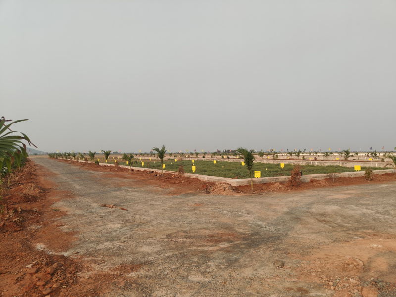  900 Sq.ft. Residential Plot for Sale in Kesarapalli, Vijayawada