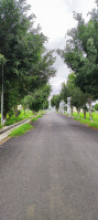 Residential Plot for Sale in Bagalur Road, Hosur