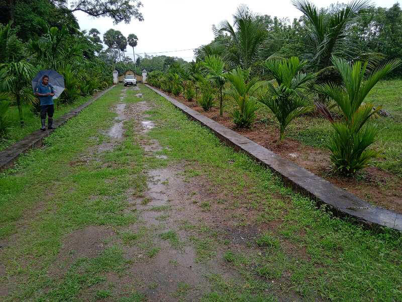 3 BHK 1700 Sq.ft. House & Villa for Sale in Nemmara, Palakkad (REI1045134)