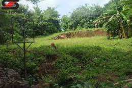 Residential Plot for Sale in Chittur, Palakkad