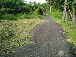  Residential Plot for Sale in Kootupatha, Palakkad